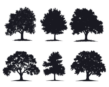 set of silhouette clipart of a large oak tree, Big collection of tree silhouettes isolated