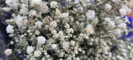 bouquet of white flowers in arrangement