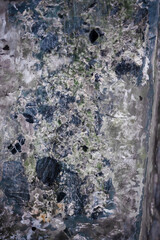 Abstract Texture of Rough Gray Stone Surface
Close-up of a rough gray stone surface with abstract patterns and natural textures, ideal for backgrounds or architectural design inspiration.