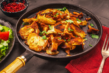 Chanterelle mushrooms fried with potatoes according to a traditional recipe in a cast-iron pan on a dark table with a burgundy napkin, with vegetables and berries