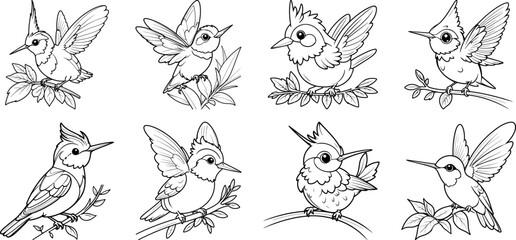 Tufted Coquette bird hand drawing coloring page and outline vector design