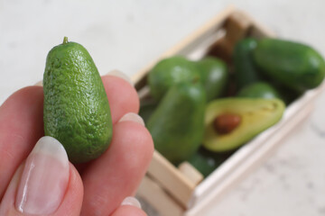 Creamy avocado in hand, avocado selection on blurred background with copy space