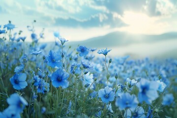 A field filled with blue flowers under a cloudy sky, Mesmerizing beauty of a field filled with blue flowers swaying in the breeze