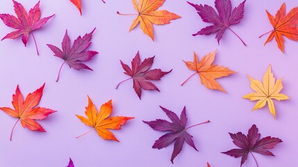 Colorful autumn leaves on a purple background, view, flat lay. Pattern, maple and oak foliage, red, pastel lavender background