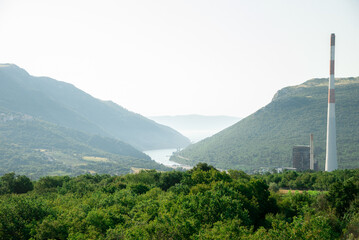 plant in the mountains, beautiful bay in Crotia