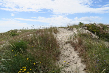Dünen am Strand von Sandhammaren in der schwedischen Provinz Schonen mit einem teilweise bewölkten Himmel