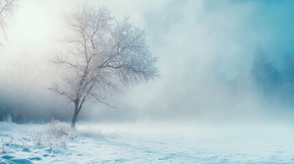 Solitary frosted tree in a snowy field on a misty winter morning