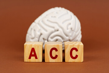 Exploring the anterior cingulate cortex through creativity and cognition with wooden blocks in an artistic setting