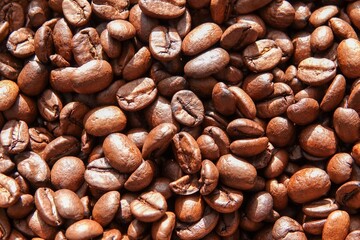 Un tas de grains de café à la lumière du soleil
