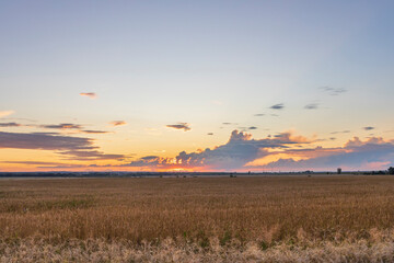 A sprawling wheat field glows beneath a stunning sunset, with rich colors blending in the sky as day transitions into a tranquil evening.
