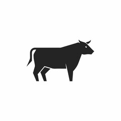 Obraz premium cow