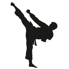 Karate in vector, flat style. Sportsman in vector.