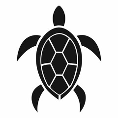 Obraz premium Hawksbill Turtle