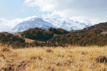 yellow patagonia grass with mountains in the background