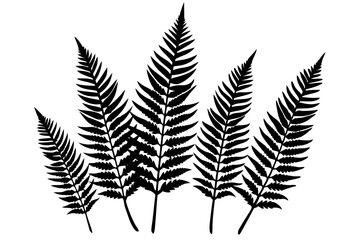 A pack of fern leaf silhouettes vector illustration