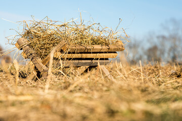 a manger with hay in the field © Blessings Captured