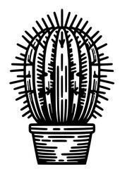 Cactus SVG, Desert SVG, Cactus with flower SVG, Mexico SVG, Sand SVG, Cactus Silhouette, Cactus Design, Cut file for Cricut SVG, JPG, PNG