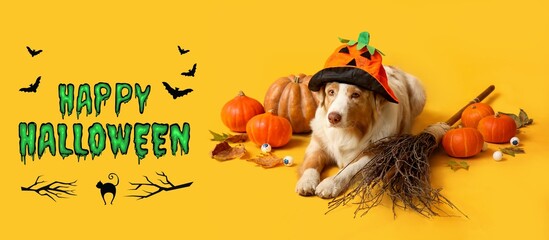 Halloween banner with cute dog, pumpkins and decorations on yellow background