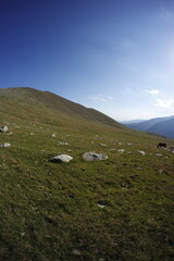 Fototapeta premium Hiking in European Pyrenees Mountains, Spain