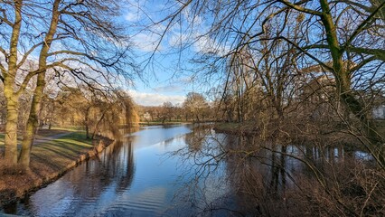 reflection of trees