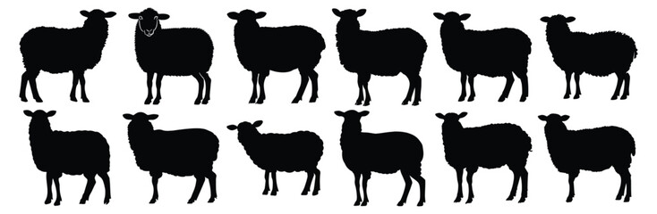 Sheep silhouettes set, pack of vector silhouette design, isolated background