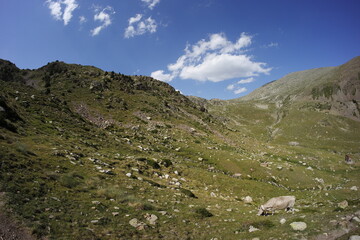 Walking in Spain, Pyrenees mountains in summer