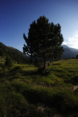 Hiking in the Spanish Pyrenees