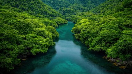 Perfect Place For A Holiday, Nature’S Beauty All Around