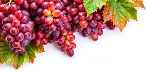 Obraz premium Vibrant red grapes and leaves in natural light on white background for copy space, red grapes, vibrant