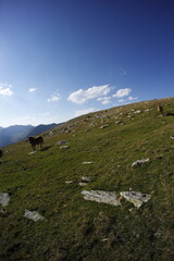 Hiking in pyrenees mountains, Spain