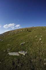 Hiking in pyrenees mountains, Spain
