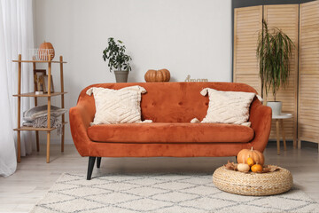 Comfortable sofa with pillows and pumpkins in room