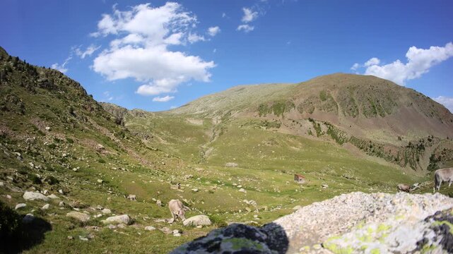 Spanish Pyrenees mountains, summer time