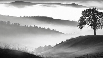 Fototapeta premium Evocative black-and-white digital landscape featuring rolling foggy hills using only shades of monochrome, 16:9 widescreen, 300 dpi, with space for text