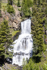 Fototapeta premium Undine Falls in Yellowstone