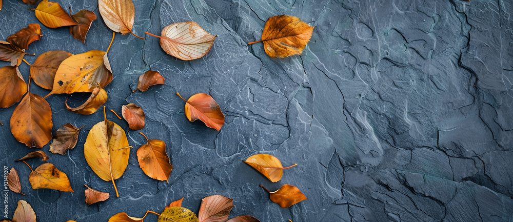 Aufkleber autumn background with yellow leaves on a grey blue slate stone texture, copy space concept for text