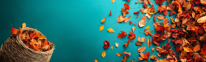 Autumn leaves scattered from a wicker basket on a turquoise background, creating a natural and seasonal design with space for text on the left side

