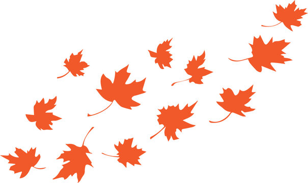 Maple autumn leaves falling silhouette, vector set of leaves falling, maple leaves background