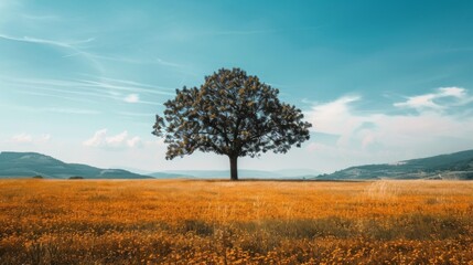Obraz premium A lone tree standing tall in a vast field, symbolizing strength and the freedom to stand out and thrive in solitude.