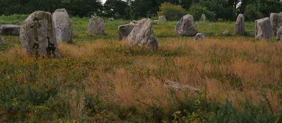 scattered  dolmens on a meadow against a wooded background in Carnac, probably around 7000 years old, probably they were set up for religious or calendar reasons.