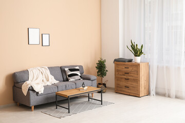 Comfortable sofa, chest of drawers and coffee table in interior of living room