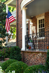 Skeletons in front of the front door are traditional Halloween decorations in America.