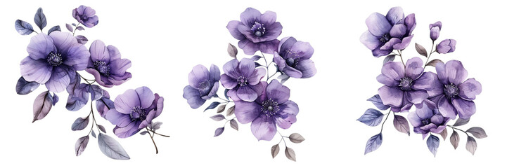 Untitled design - A set of Single hand drawn watercolor purple flower with leaves isolated on a transparent background (3)