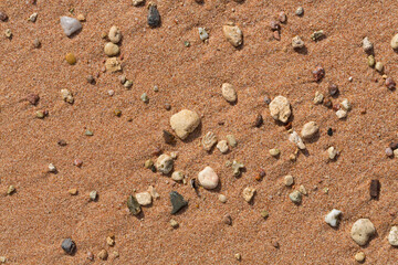 The coastline of the Red Sea. Sand, pebbles, corals, fossils. Background with a marine theme.