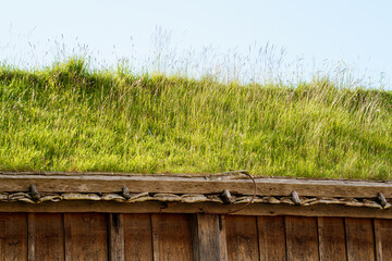 green roof of the building covered with grass species, Sweden