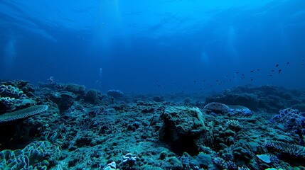 Obraz premium Underwater Coral Reefscape - Deep Blue Depths, Bright Coral, Fish and Bubbles, Marine Life, Ocean, Underwater, Coral