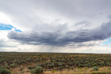 Distant Rain Clouds Over High Desert