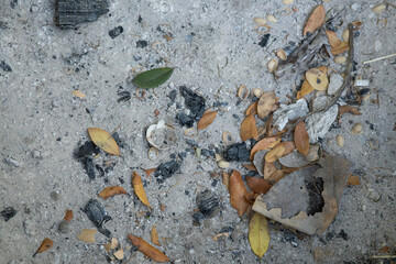Looking down into campground fire pit with leaves and other debris.  