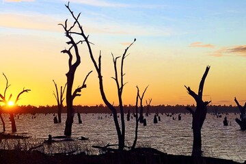 The stunning sight of a dead tree trunks silhouetted against the breathtaking sunrise.