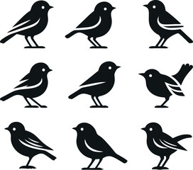 Fototapeta premium set of silhouettes of birds Vector illustration silhouette image icon 